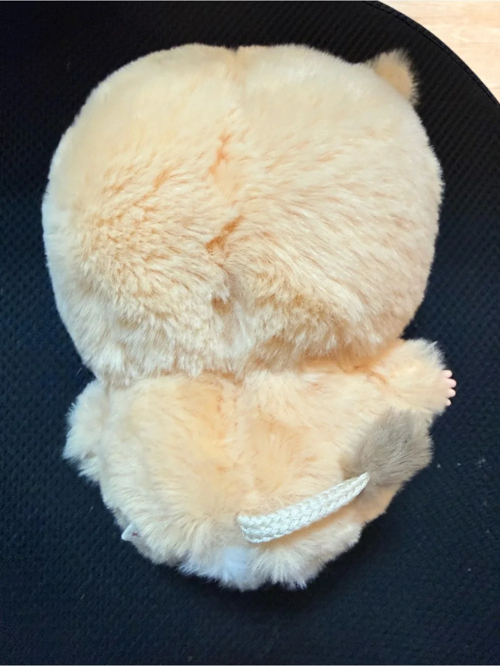 Baby Three about 7”